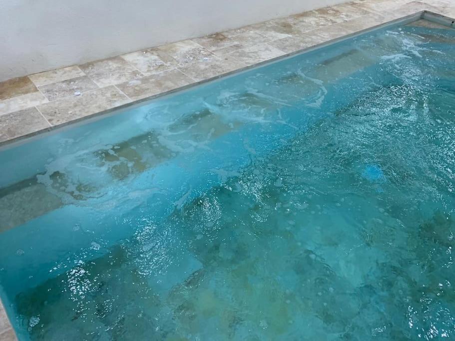 Villa Piscine/Spa Prive Interieur 33° Zoo De La Fleche 24H Du Mans Ngoại thất bức ảnh